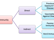 Discovery and Development of Vaccines | The Vaccine Makers Project